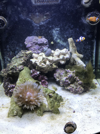 Pet Supply Store «Exotic Aquatic», reviews and photos, 275 E Oakland Park Blvd, Fort Lauderdale, FL 33334, USA