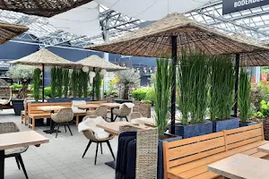Schaar Café & Bistro in der Pflanzenwelt image