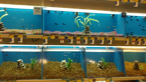Pet Supply Store «PetSmart», reviews and photos, 15134 Crossroads Pkwy, Gulfport, MS 39503, USA