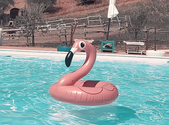 Équipements Vacances à la ferme Agriturismo Goccia di Luna 06019 Umbertide