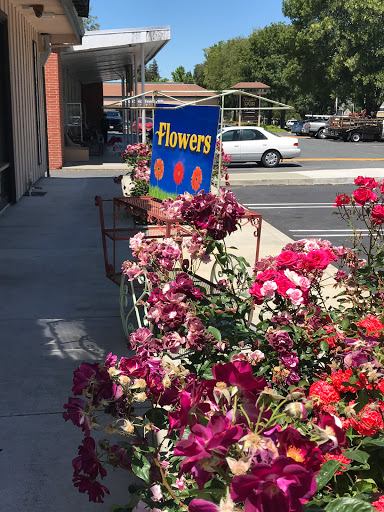 Clayton Sonset Flowers, 5354 Clayton Rd, Concord, CA 94521, USA, 
