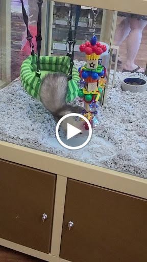 Pet Supply Store «Pet Supermarket», reviews and photos, 11160 Panama City Beach Pkwy #402, Panama City Beach, FL 32407, USA