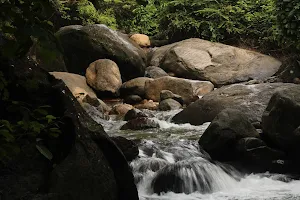 Nerchapara Waterfalls image