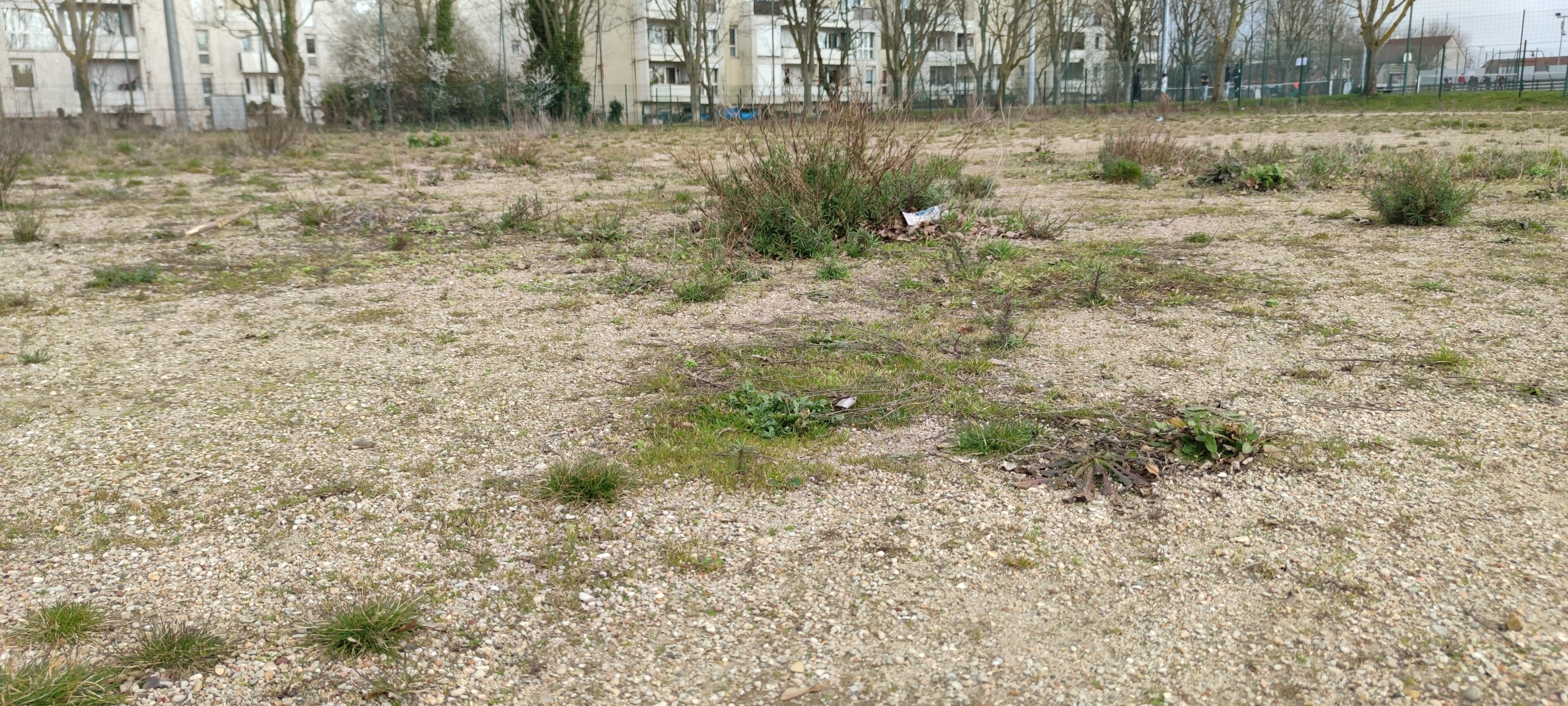 Photo n° 8 de l'avis de Abcde94.b fait le 19/04/2022 à 00:22