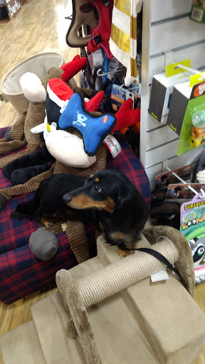 Department Store «Marshalls & HomeGoods», reviews and photos, 3645 Wedgewood Ln, The Villages, FL 32162, USA