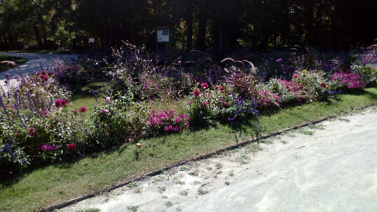 Photo n° 37 de l'avis de Delbart.e fait le 29/09/2019 à 12:17
