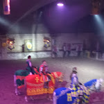 Photo n°2 de l'avis de Emily.o fait le 04/06/2023 à 19:46 sur le  Medieval Times Restaurant and Show à Lazise