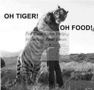 Mortgage Lender «Kingwood Mortgage Guys», reviews and photos