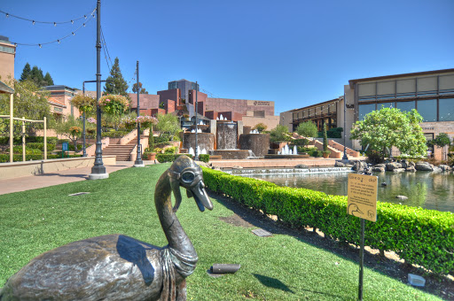Rama Mehra Team-San Ramon, Asante Realty image