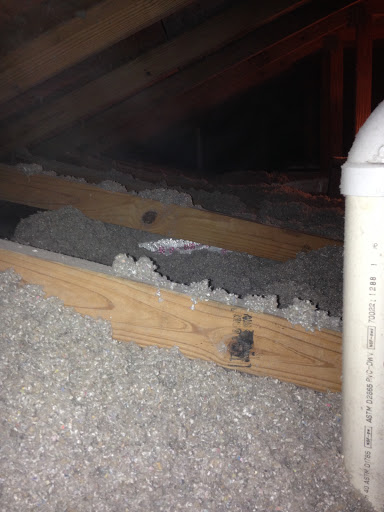 Pest Control Service «Critter Control of Miami», reviews and photos