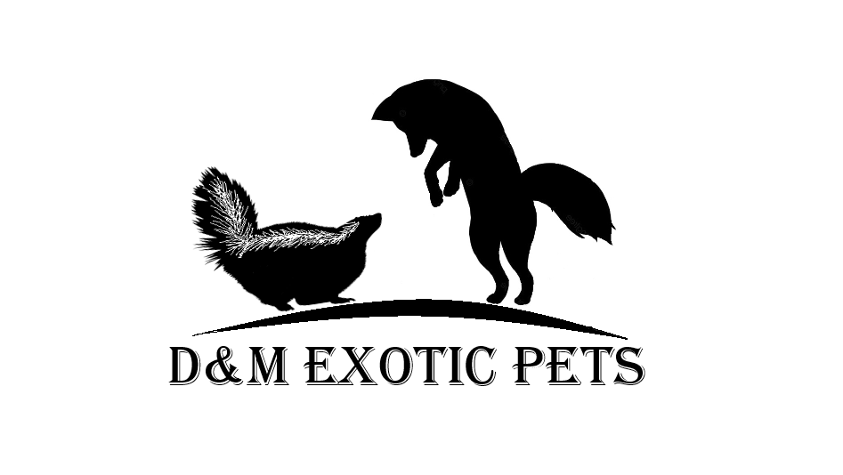 D & M Exotic Pets