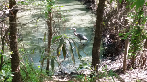 Park «McDade Park», reviews and photos, 3750 FM 2854 Rd, Conroe, TX 77304, USA