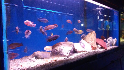 Aquarium «Crystal Reef Aquariums», reviews and photos, 311 Pass Rd, Gulfport, MS 39507, USA