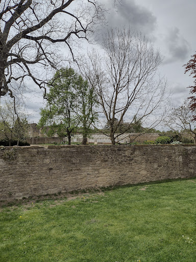 Convenience Store «Walgreens», reviews and photos, 1802 Main St, Chester, MD 21619, USA