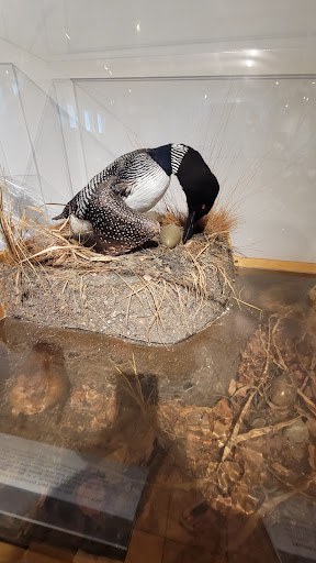 Natural History Museum «George B. Dorr Museum of Natural History», reviews and photos, 105 Eden St, Bar Harbor, ME 04609, USA