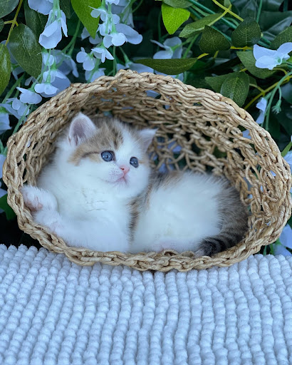 6611 Leetsdale Dr #2, Denver, CO 80224, USA