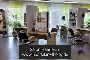 Salon Haarlekin image