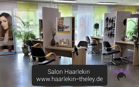 Salon Haarlekin image