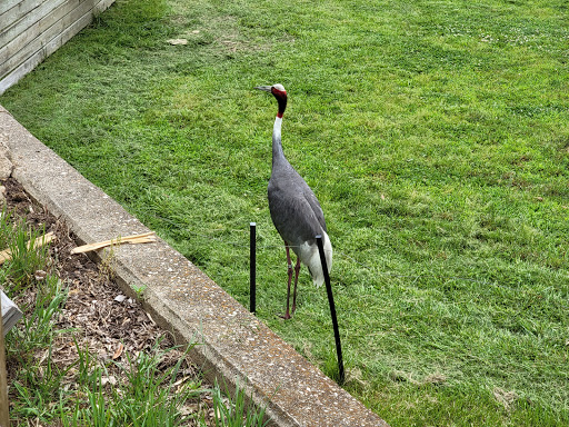 Zoo «Mesker Park Zoo», reviews and photos, 1545 Mesker Park Dr, Evansville, IN 47720, USA