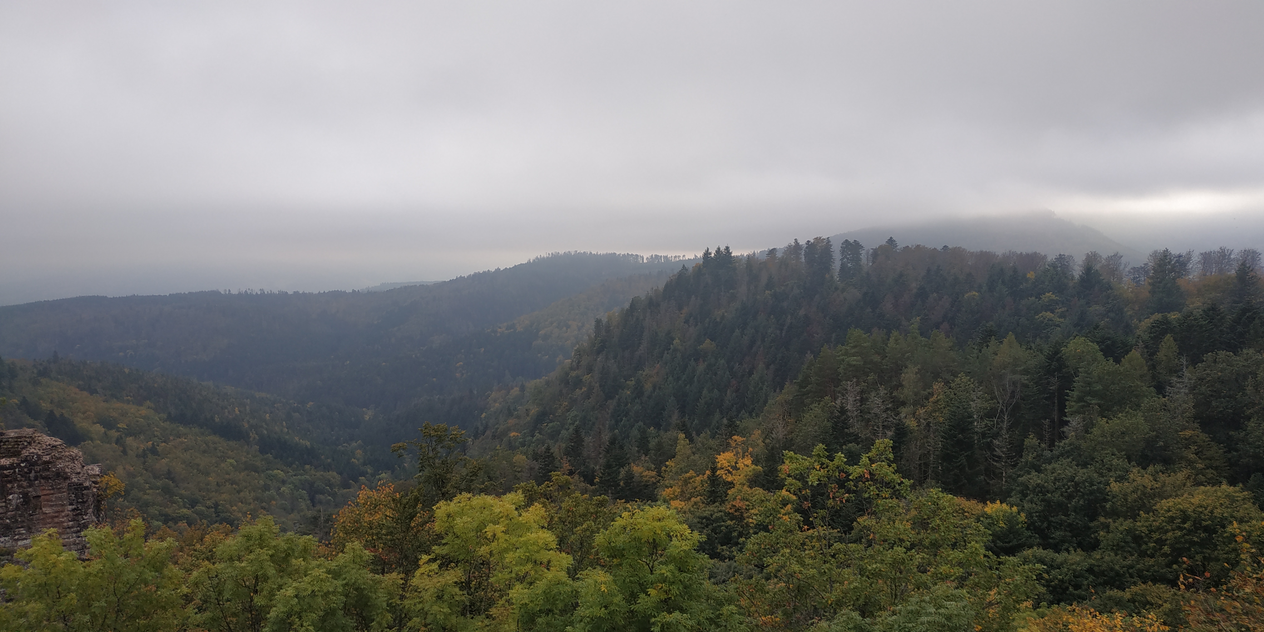 Photo n° 11 de l'avis de Sorti.u fait le 18/10/2021 à 08:32