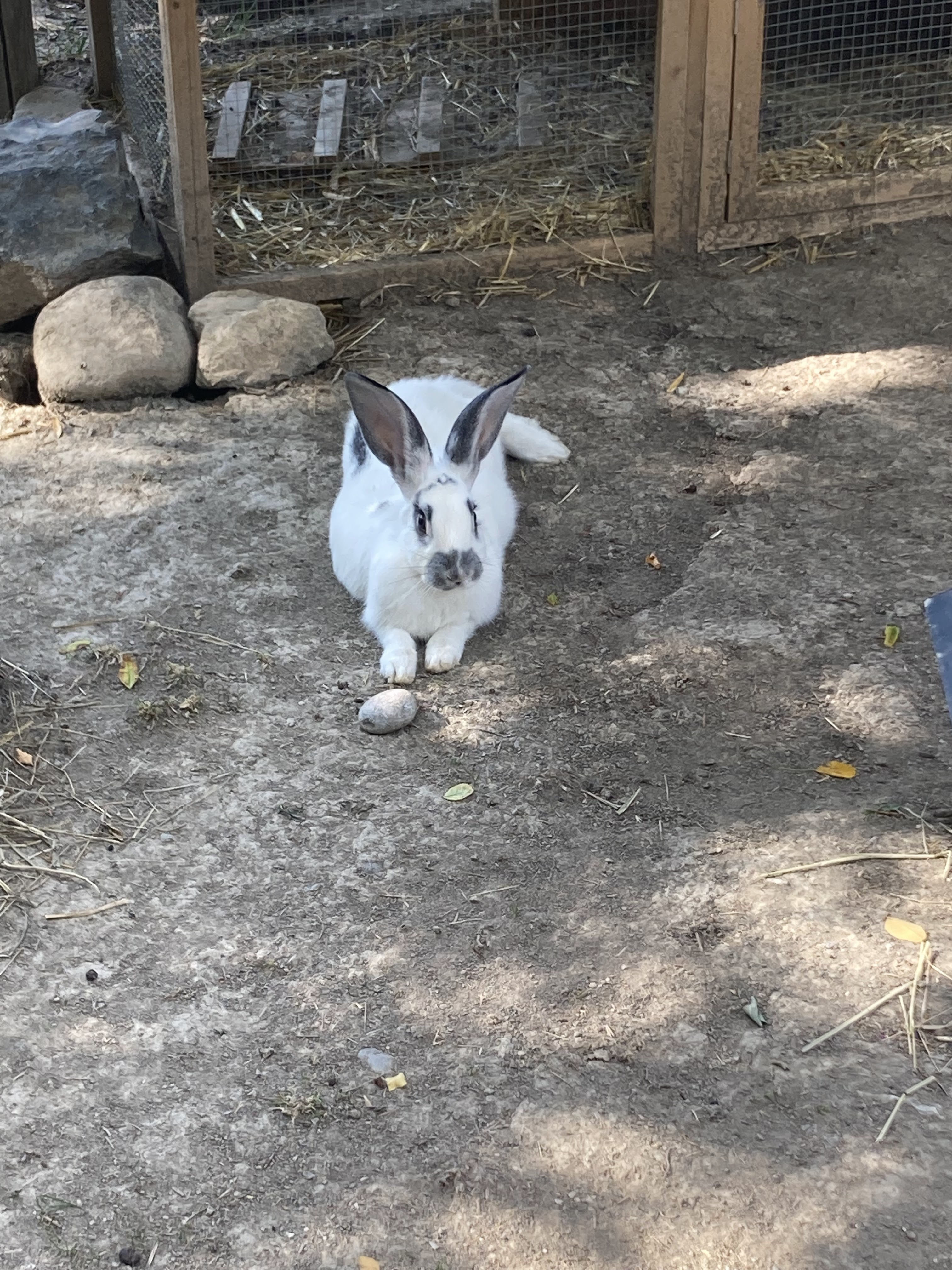 Photo n° 13 de l'avis de Laurianne.o fait le 26/08/2022 à 16:16