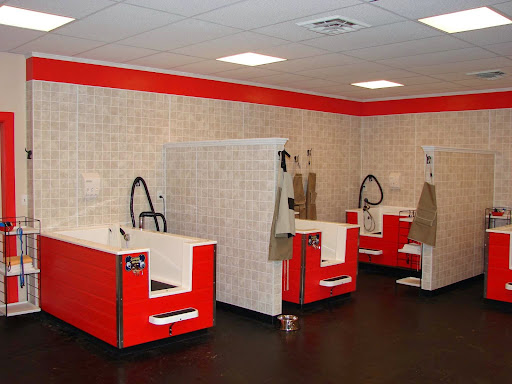 Pet Groomer «Happy Tails Self-Serve Dog Wash», reviews and photos, 267 Cotuit Rd Unit D, Sandwich, MA 02563, USA