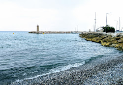 Photo de Plage pour les Chiens et le règlement