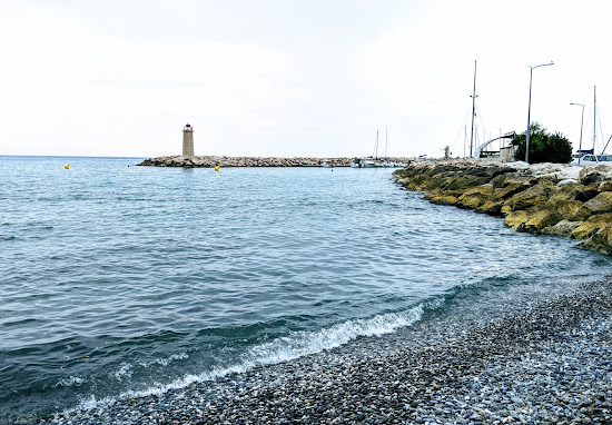 Plage pour les Chiens