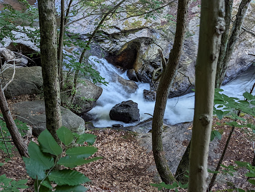 Nature Preserve «Cotton Hollow Preserve», reviews and photos, 493 Hopewell Rd, South Glastonbury, CT 06073, USA