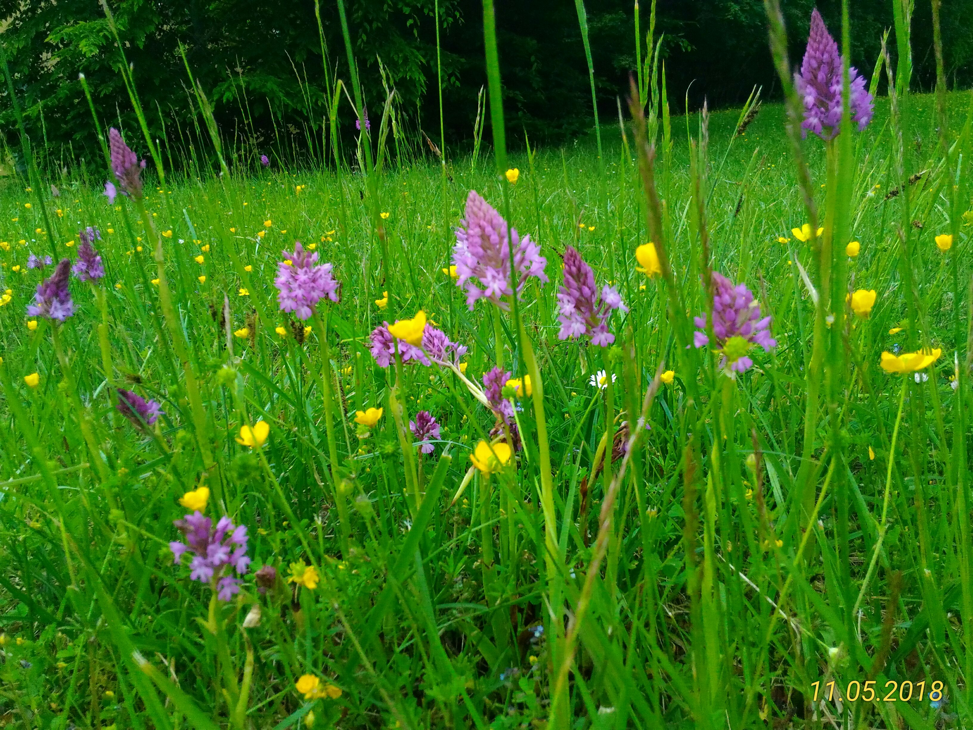 Photo n° 47 de l'avis de Marie.a fait le 13/05/2018 à 06:32