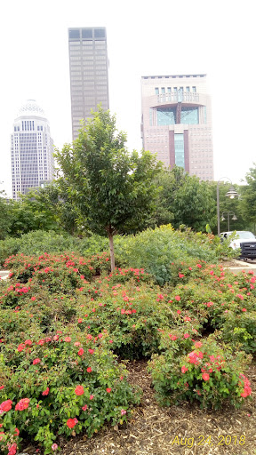 Health Insurance Agency «Humana Inc», reviews and photos