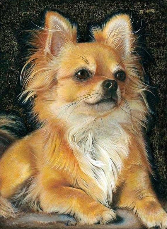 Photo n° 1 de l'avis de laure.e fait le 23/10/2023 à 11:48