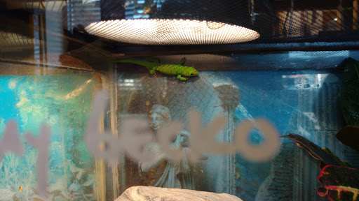 Pet Store «Animal Ark», reviews and photos, 175 S 500 E St, American Fork, UT 84003, USA