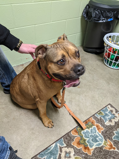 Fort Defiance Humane Society