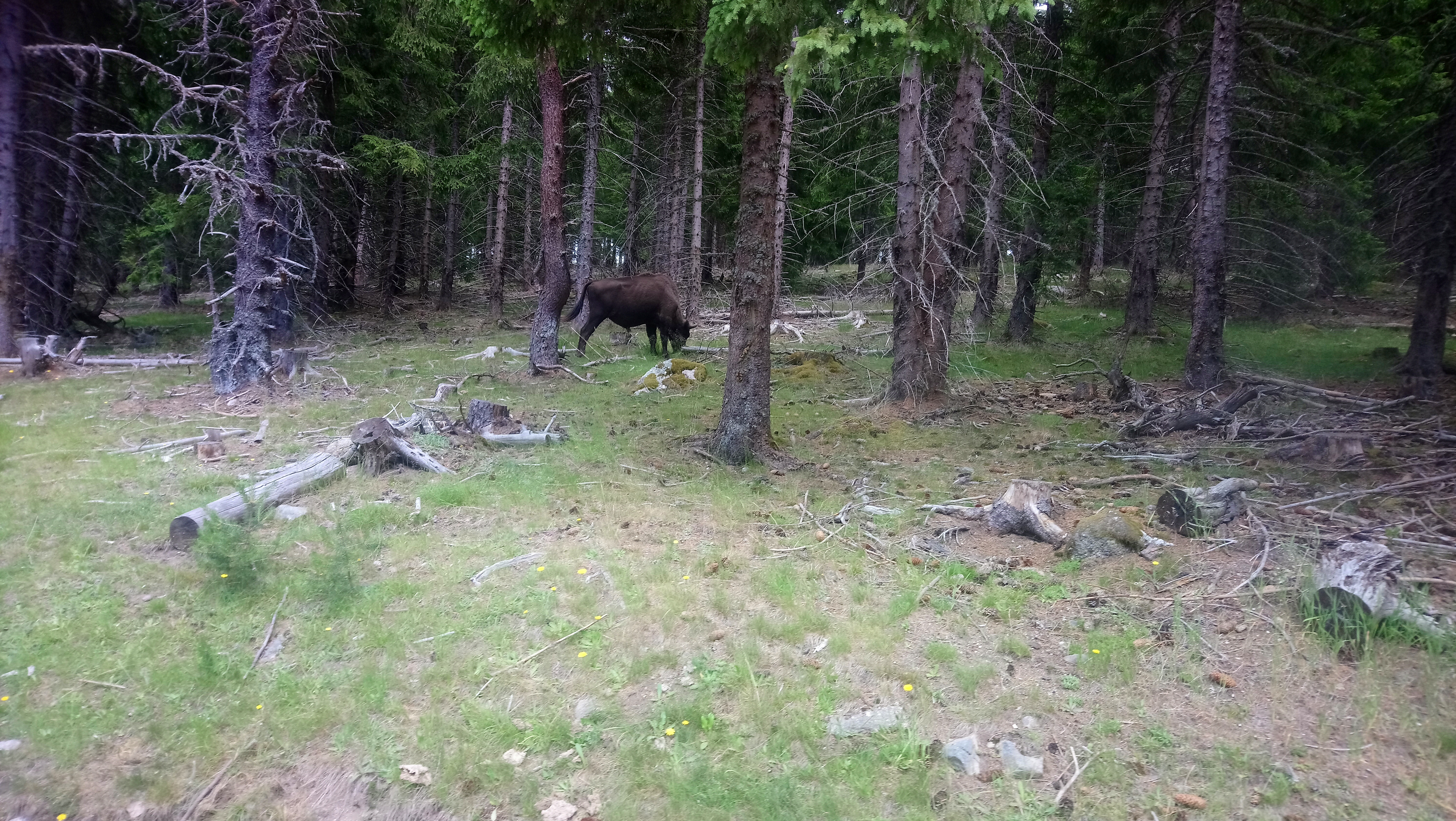 Photo n° 6 de l'avis de Christelle.i fait le 16/07/2019 à 08:11