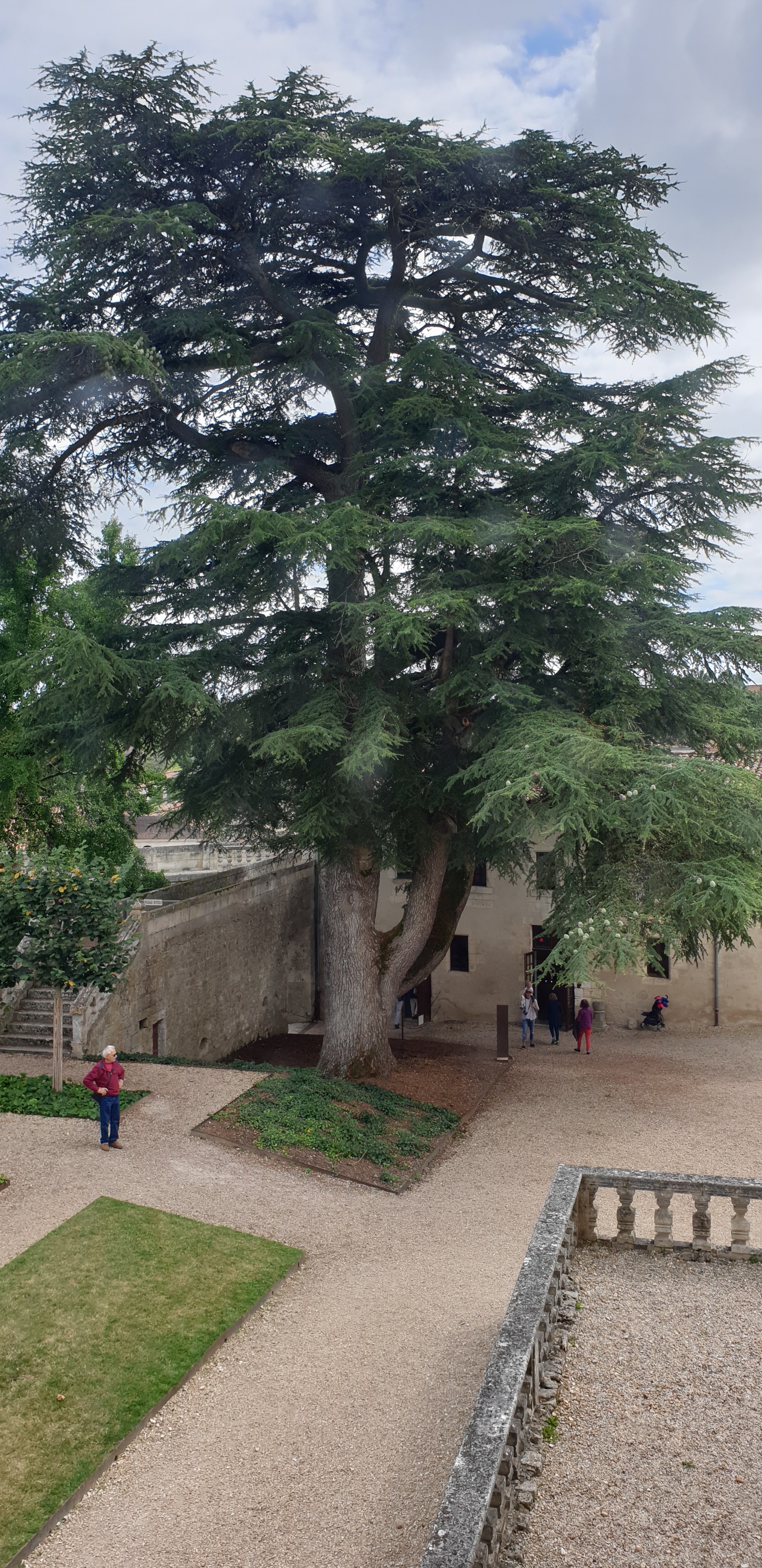 Photo n° 31 de l'avis de Stéphane.U fait le 15/08/2019 à 20:32
