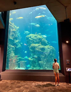 South Carolina Aquarium 100 Aquarium Wharf, Charleston, SC 29401