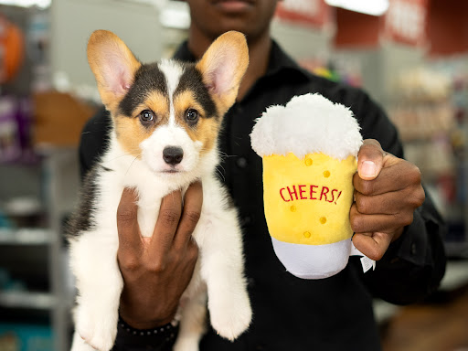 Pet Store «Petland of Plantation», reviews and photos, 801 S University Dr, Plantation, FL 33324, USA