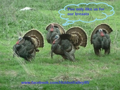 RV Park «Hidden Valley RV Park», reviews and photos, 5706 Coleman Way, Von Ormy, TX 78073, USA