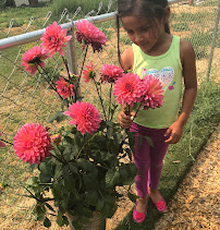 Tia Amelia's Daycare/Kathy’s Early Learning LLC - Photo 4 - Car repair in Union Gap, WA, Yakima