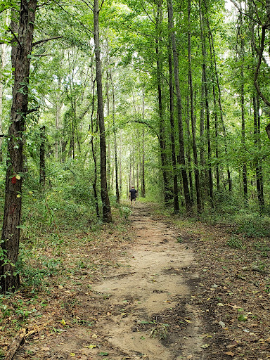 AUM Trailhead