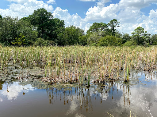 Nature Preserve «Baytown Nature Center», reviews and photos, 6213 Bayway Dr, Baytown, TX 77520, USA