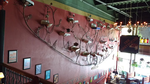 Brewery «McMenamins on Monroe», reviews and photos, 2001 NW Monroe Ave, Corvallis, OR 97330, USA