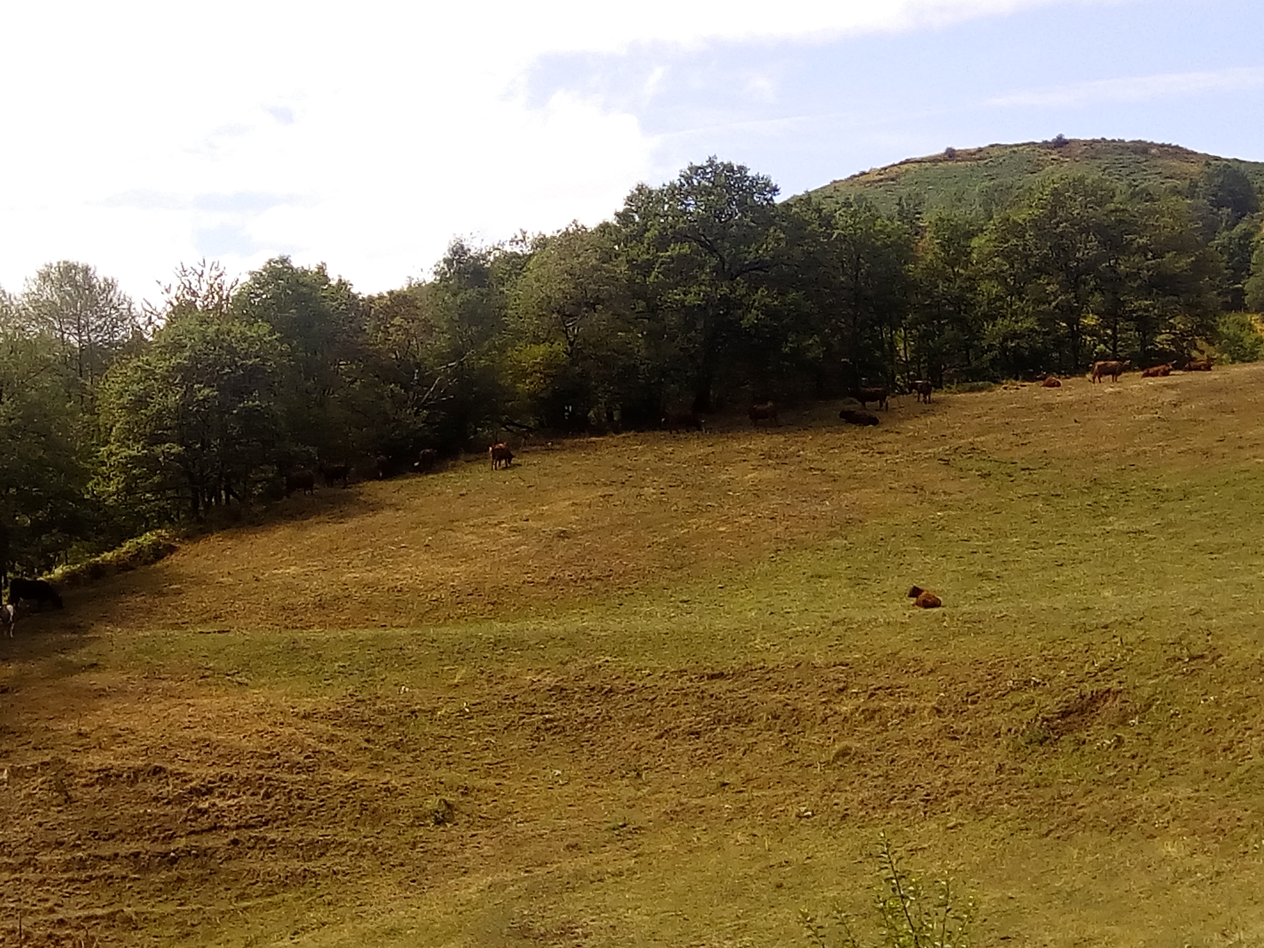 Photo n° 8 de l'avis de Aurore.e fait le 21/08/2016 à 00:30