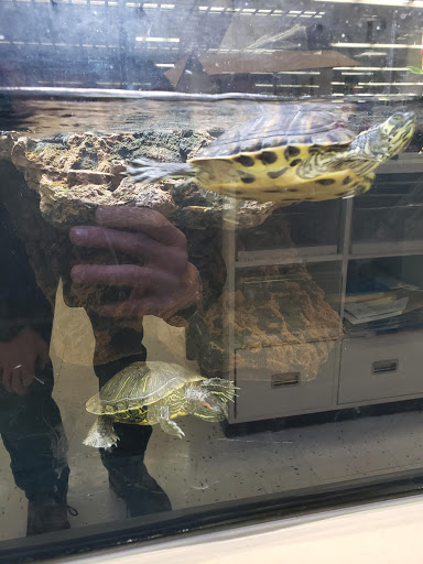 Pet Supply Store «Petco Animal Supplies», reviews and photos, 27111 167th Pl SE #113, Covington, WA 98042, USA