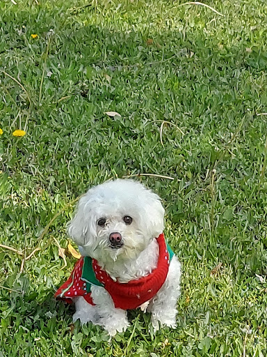 1301 S Brookhurst St, Anaheim, CA 92804, USA