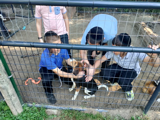 Zoo «The Petting Zoo at Breezeway Farm», reviews and photos, 161 Anawana Lake Road, Monticello, NY 12701, USA