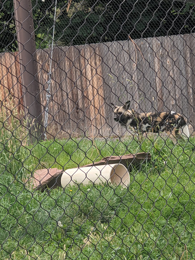 Zoo «Pueblo Zoo», reviews and photos, 3455 Nuckolls Ave, Pueblo, CO 81005, USA