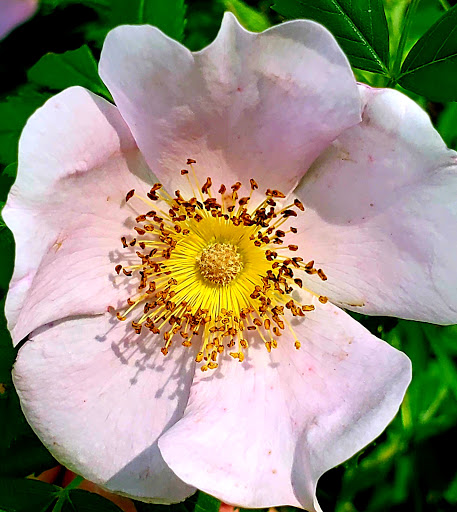 Park «Yahara Place Park», reviews and photos, 2025 Yahara Pl, Madison, WI 53704, USA