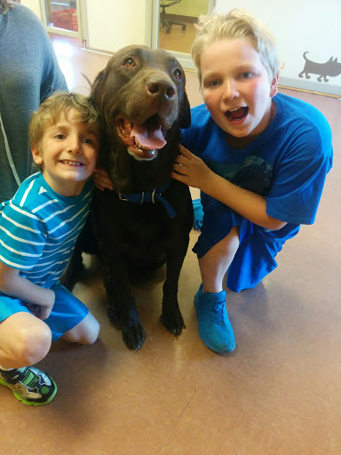 Animal Protection Organization «Humane Society-Black Hills», reviews and photos